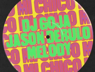Mi Chico by Jason Derulo ft Melody Version ft dj goja