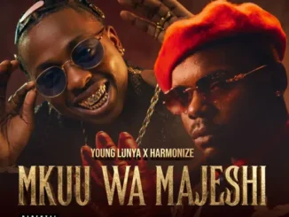 Mkuu wa Majeshi by harmonize ft Young Lunya